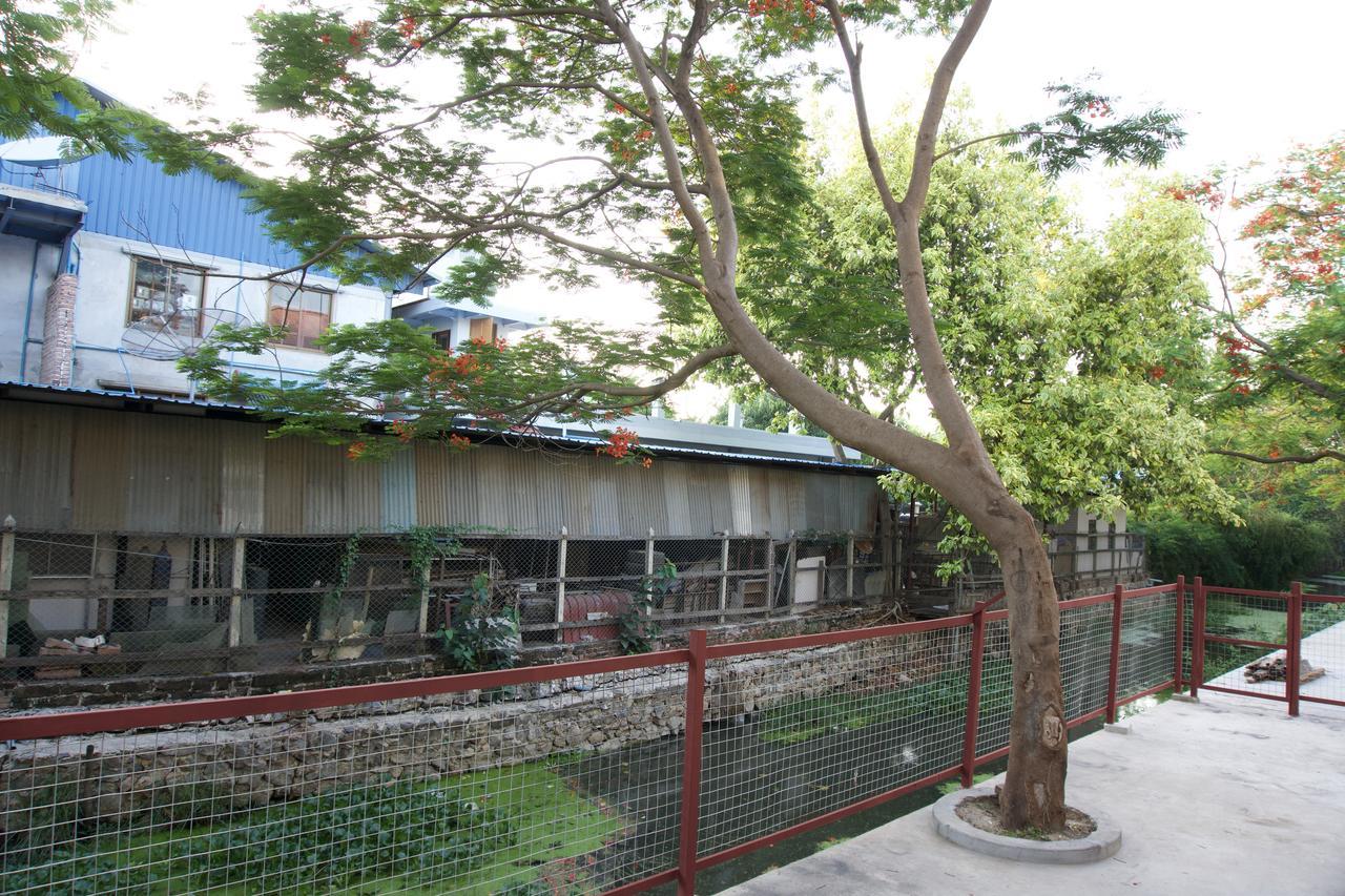 Celia Hostel מנדלאי מראה חיצוני תמונה